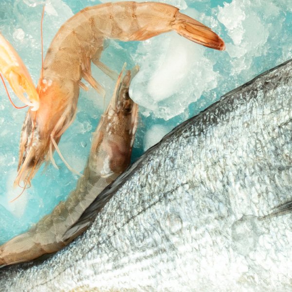 Hatzikelis Seafood More Fresh Fish