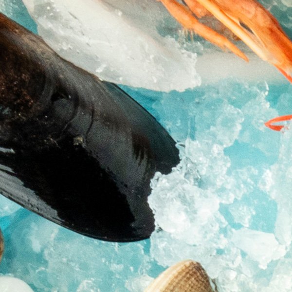 Hatzikelis Seafood More Fresh Fish