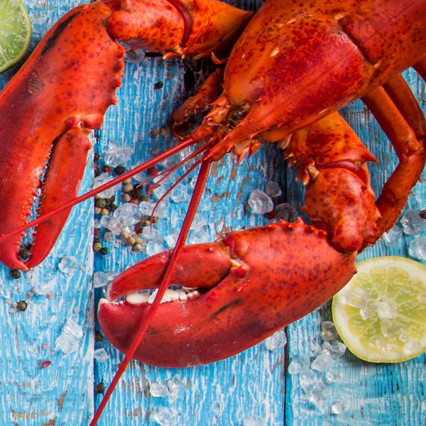 Hatzikelis Seafood More Fresh Fish